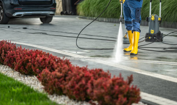 Best Deck Cleaning Services  in Crossett, AR